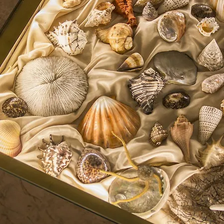 Apartmanhotel Nautilus Luxury 4*