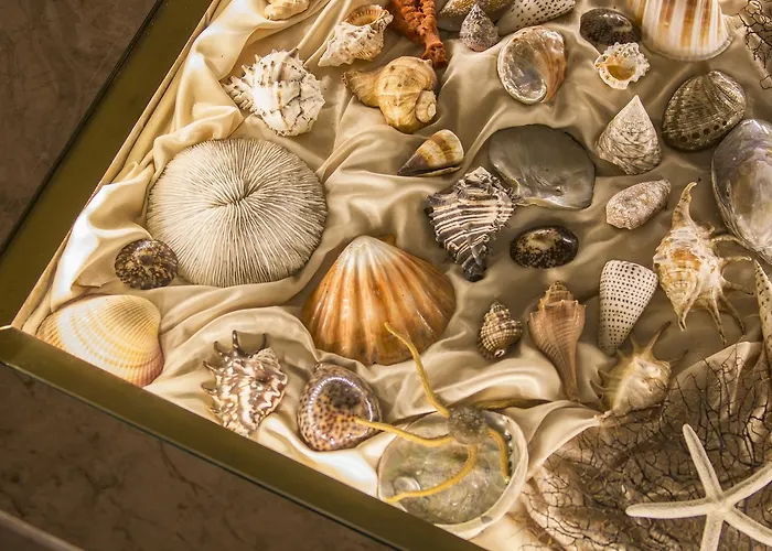 Lejlighedshotel Nautilus Luxury 4*